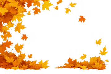 An Autumn leaves in vibrant shades of yellow and orange create beautiful border on transparency background, evoking sense of seasonal change and natural beauty