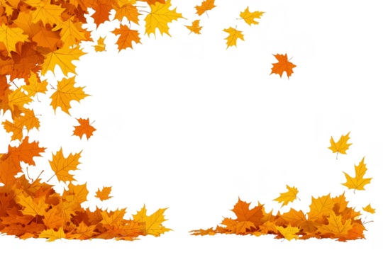 An Autumn leaves in vibrant shades of yellow and orange create beautiful border on transparency background, evoking sense of seasonal change and natural beauty