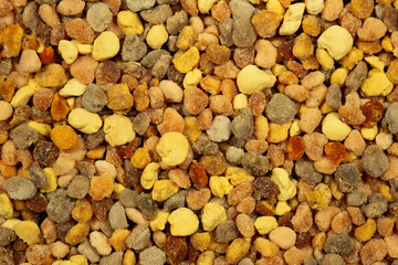 Close up of colorful yellow orange and red bee pollen