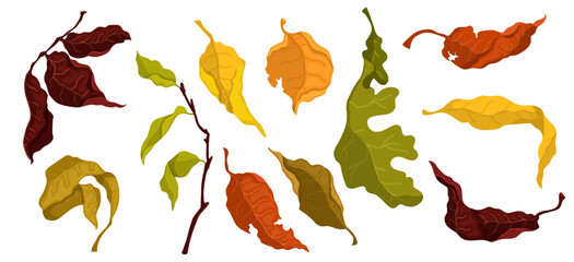 Set of autumn colorful leaves. Vector graphics.