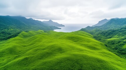 Naklejka premium Lush green hills meet the misty ocean. A tranquil tropical vista