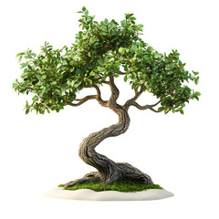 A 3D Decorative Bonsai Tree with Twisted Branches Isolated on Transparent Background