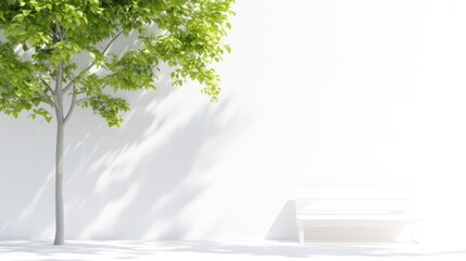 Obraz premium Minimalist outdoor scene with a tree and bench