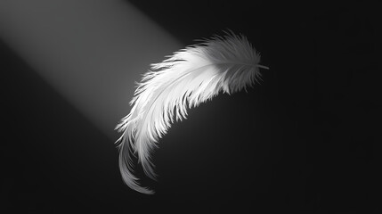 Obraz premium Light white feathers drifting down on a glossy black background, aesthetic, meditation, calming, inspiration, shadow. Drifting Shadows. Illustration