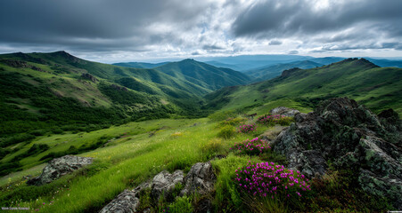Fototapeta premium Springtime highlands with emerald landscapes and wildflowers blooming across rugged terrain