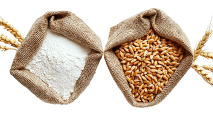 Png of Two burlap sacks with flour and wheat grains, symbolizing the journey from grain to cooking. Natural earthy colors present on transparent background.