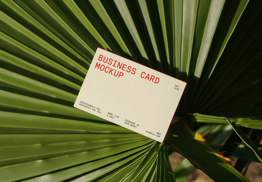 Business Card on the Palm Leaf Mockup