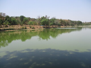 reflection of trees in the lake