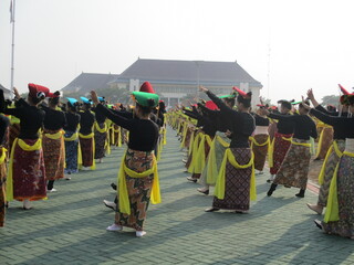 group of soldiers in parade