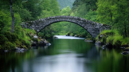 Serene Green Forest River Bridge Landscape