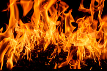 Fire flame texture. Blaze flames background. Burning fire backdrop. Flame of fire. Fire background. Flame texture. © Korneliia