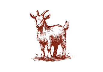 Goat hand drawn sketch vector illustration