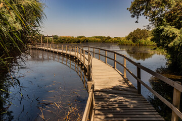 Boardwalk in Azraq Wetlands Reserve, Jordans