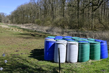 Colorful Barrels in a Forested Landscape