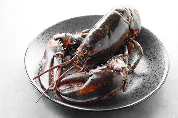 One raw lobster on grey textured table, closeup