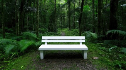 Fototapeta premium Empty white park bench in a lush green forest