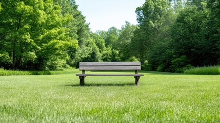 Fototapeta premium A simple wooden bench sits in a grassy field. Lush green trees form a backdrop. The image is well-lit, showcasing high-quality detail. It has a serene, peaceful aesthetic. Greens and muted browns d