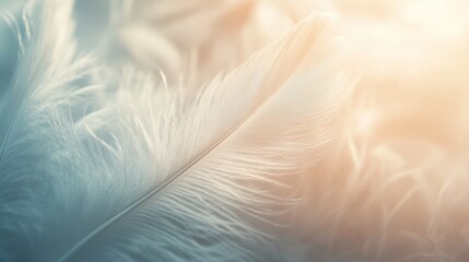 Obraz premium Soft wispy feather texture