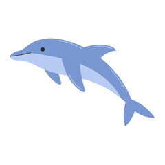 Dolphin cartoon illustration
