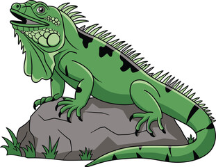 Obraz premium a illustrator vector lguana