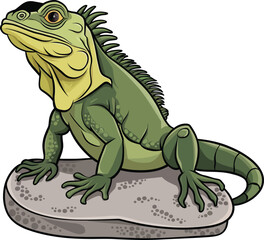 Fototapeta premium a illustrator vector lguana