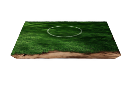 3D Illustration Of Isolated Soccer Field Green Grass Circle Ground Cutaway