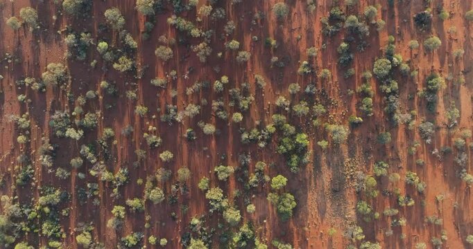 Desert outback in Goldfields of Western Australia