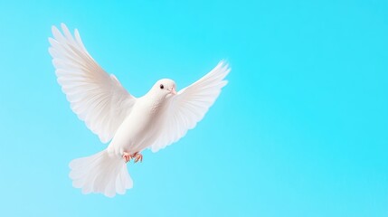 A white dove is in flight against a bright blue sky. Its wings are spread wide. The image is clean and simple, with a peaceful mood. The color palette is serene. It could be used to symbolize peace