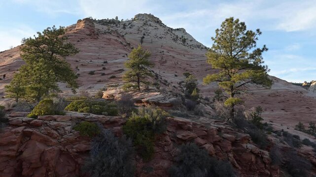 Sunlight illuminates vibrant green trees growing among the colorful rock layers of Zion National Park. The striking landscape showcases the unique geology and beauty of Utah's wilderness.