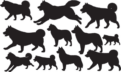 Alaskan Malamute Silhouette – Minimal Vector Illustration on White Background