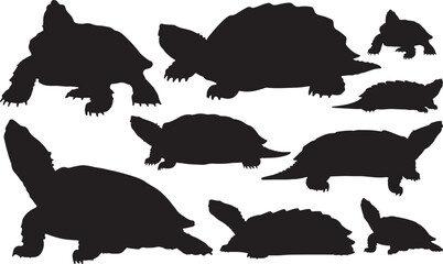 Alligator Snapping Turtle Silhouette – Minimal Vector Illustration on White Background