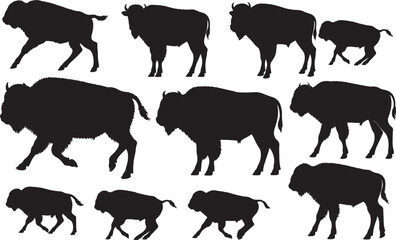 American Bison Calf Silhouette – Minimal Vector Illustration on White Background