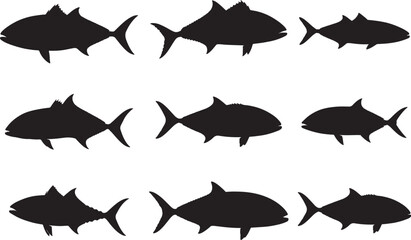 Amberjack Silhouette – Minimal Vector Illustration on White Background