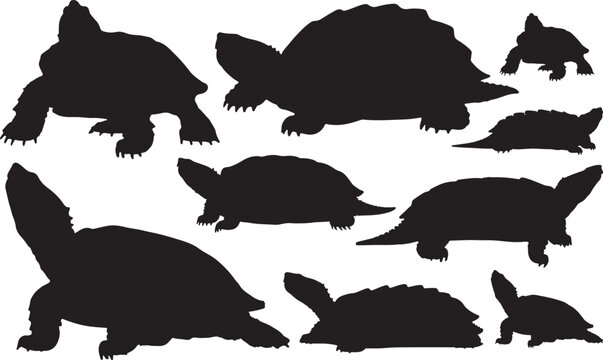 Alligator Snapping Turtle Silhouette &ndash; Minimal Vector Illustration on White Background