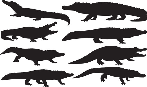 American Alligator Silhouette &ndash; Minimal Vector Illustration on White Background