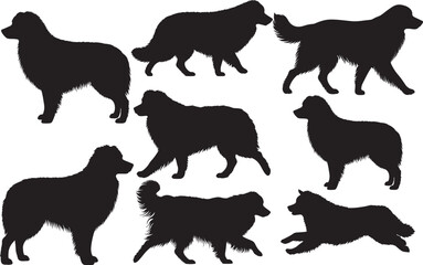 Aussie Shepherd Silhouettes