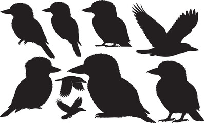 Australian Kookaburra Silhouettes