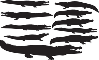 Caiman Crocodile Silhouettes
