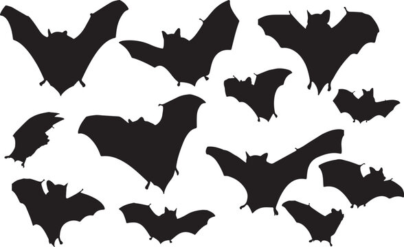 Bumblebee Bat
