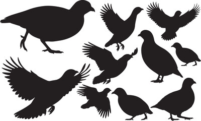 Chukar Silhouette