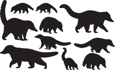 Coati Silhouettes