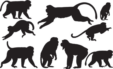 Lion-tailed Macaque Silhouettes