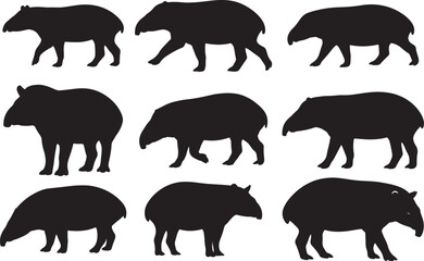 Malayan Tapir Silhouettes