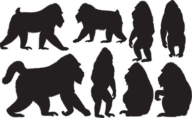 Mandrill Silhouettes