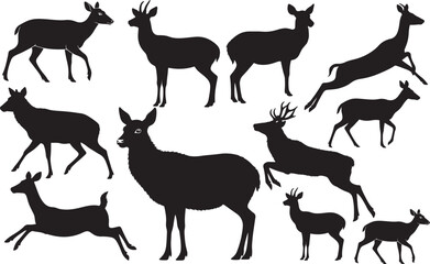 Musk Deer Silhouette