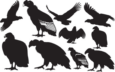 Andean Condor Silhouette