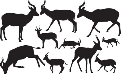 Antelope Silhouettes