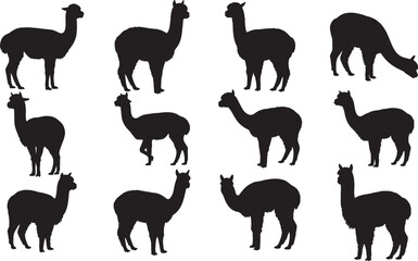 Alpaca Silhouettes