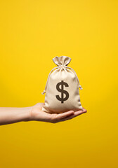 Money Bag in Hand Symbolizing Income or Financial Support