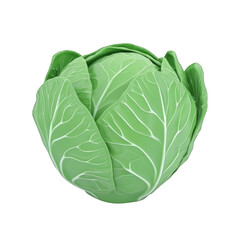 Obraz premium fresh green cabbage illustration 